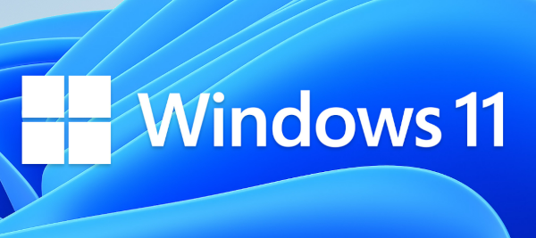 Windows 11